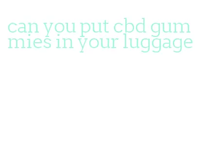 can you put cbd gummies in your luggage