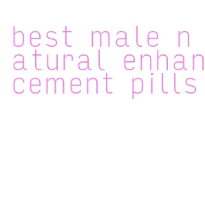 best male natural enhancement pills