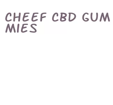 cheef cbd gummies