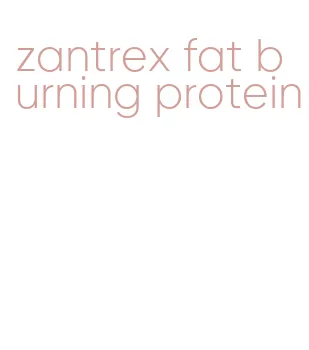 zantrex fat burning protein