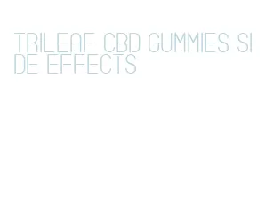 trileaf cbd gummies side effects