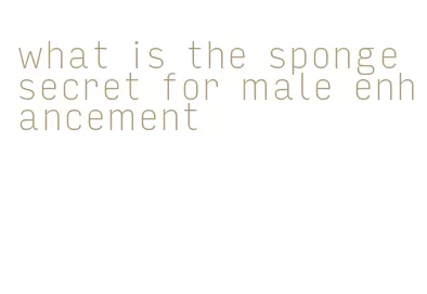 what is the sponge secret for male enhancement