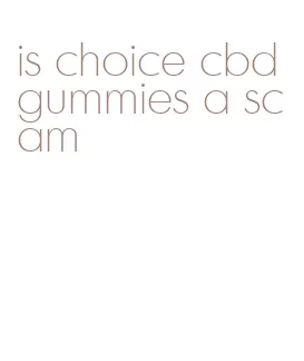 is choice cbd gummies a scam