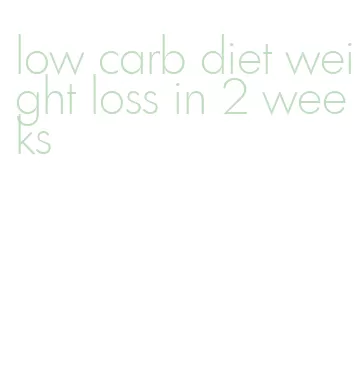 low carb diet weight loss in 2 weeks