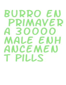 burro en primavera 30000 male enhancement pills