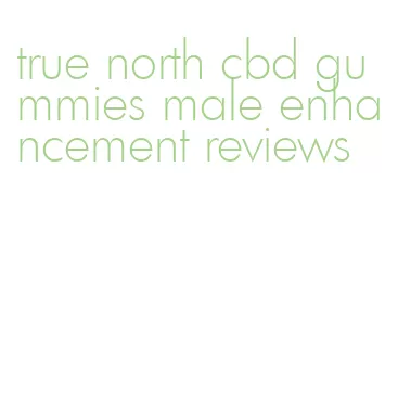 true north cbd gummies male enhancement reviews