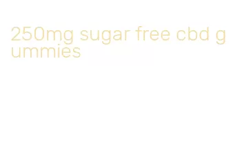 250mg sugar free cbd gummies