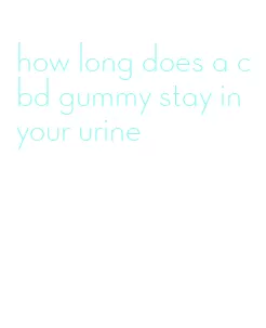 how long does a cbd gummy stay in your urine