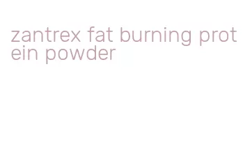 zantrex fat burning protein powder