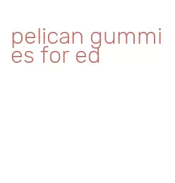 pelican gummies for ed