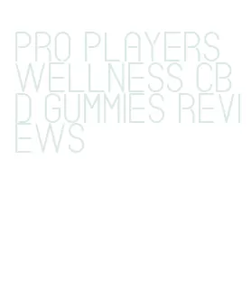 pro players wellness cbd gummies reviews