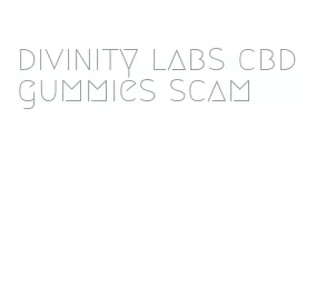 divinity labs cbd gummies scam