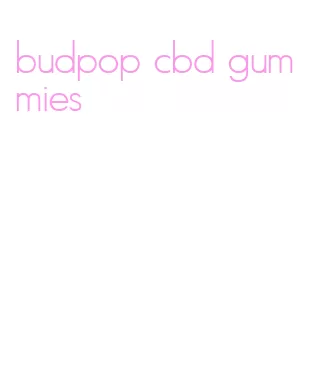 budpop cbd gummies