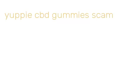 yuppie cbd gummies scam