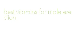 best vitamins for male erection