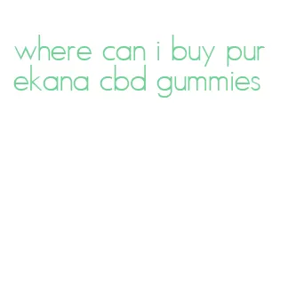 where can i buy purekana cbd gummies