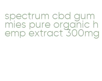 spectrum cbd gummies pure organic hemp extract 300mg