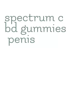 spectrum cbd gummies penis