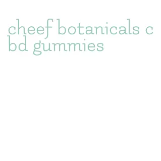 cheef botanicals cbd gummies