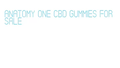 anatomy one cbd gummies for sale