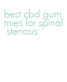 best cbd gummies for spinal stenosis