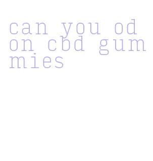 can you od on cbd gummies