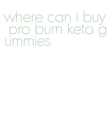 where can i buy pro burn keto gummies