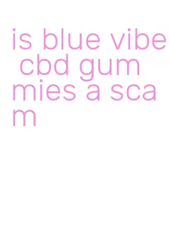 is blue vibe cbd gummies a scam