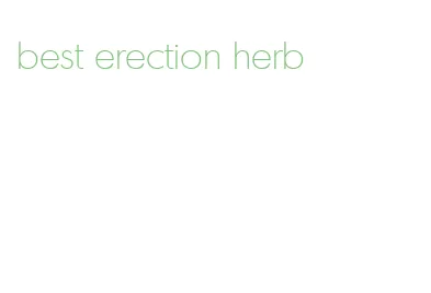 best erection herb