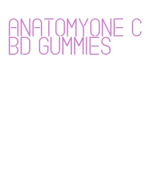 anatomyone cbd gummies