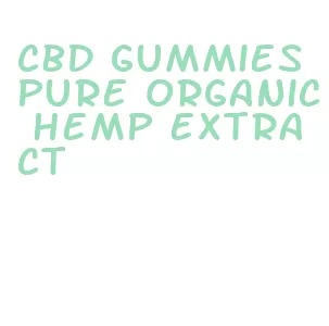 cbd gummies pure organic hemp extract