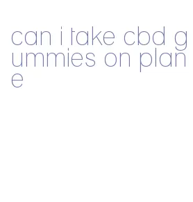 can i take cbd gummies on plane