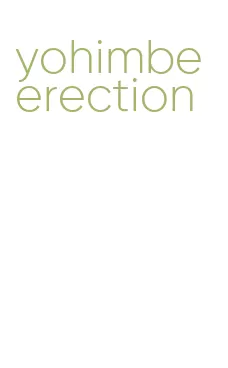 yohimbe erection