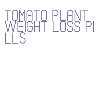 tomato plant weight loss pills