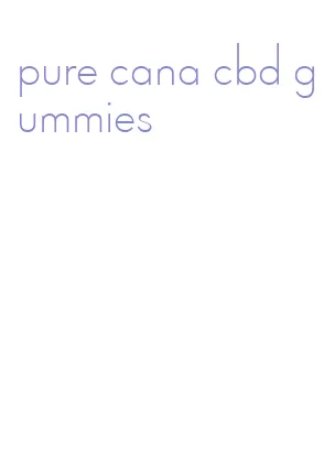 pure cana cbd gummies