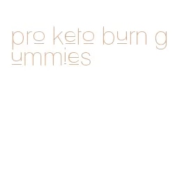 pro keto burn gummies