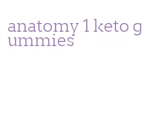 anatomy 1 keto gummies