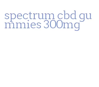 spectrum cbd gummies 300mg