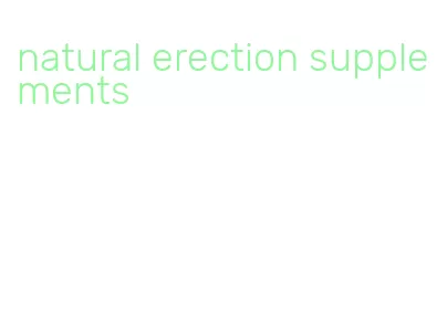 natural erection supplements