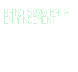 rhino 5000 male enhancement