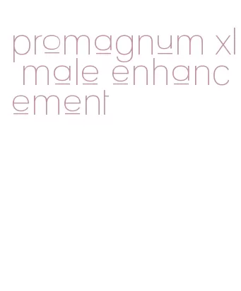 promagnum xl male enhancement