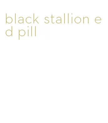 black stallion ed pill