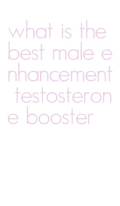 what is the best male enhancement testosterone booster