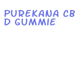 purekana cbd gummie