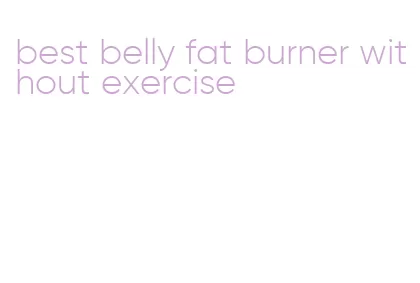 best belly fat burner without exercise