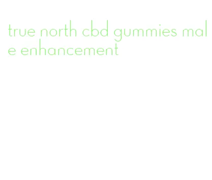 true north cbd gummies male enhancement