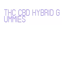 thc cbd hybrid gummies