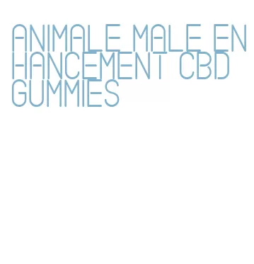 animale male enhancement cbd gummies