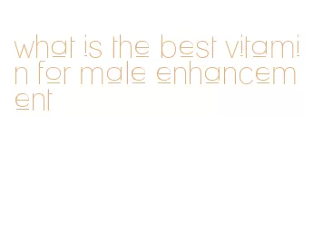 what is the best vitamin for male enhancement