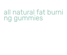 all natural fat burning gummies